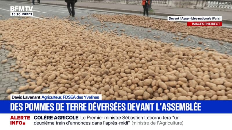Colère agricole: des pommes de terre déversées devant l'Assemblée nationale par des agriculteurs de la FNSEA