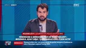 Femme brulée vive par son mari à Mérignac: lors de son audition, L'homme affirme avoir voulu "la punir" par jalousie