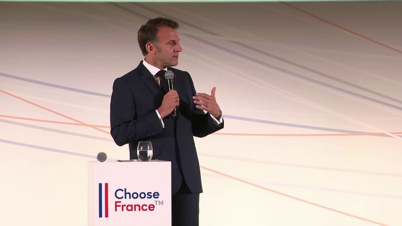 Pour rassurer des investisseurs internationaux, Emmanuel Macron assure que la France peut faire une grande coalition comme l'Allemagne