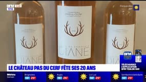 La Londe-les-Maures: à la découverte du château du Pas du Cerf