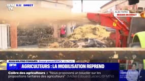 À Albi, des agriculteurs déversent du fumier et de la paille devant le bâtiment de la Direction départementale des territoires du Tarn