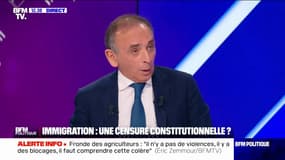 "Moi, je veux arrêter l'immigration légale": Éric Zemmour n'est pas satisfait de la loi immigration