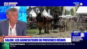 Provence: le grand retour du salon des agricultures