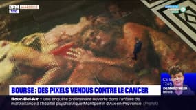 Palais de la Bourse: des pixels vendus contre le cancer