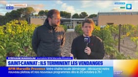 On a rendez-vous dans les vignes du pays d'Aix : les vendanges se terminent