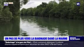 Val-de-Marne: bientôt possible de se baigner dans Marne?
