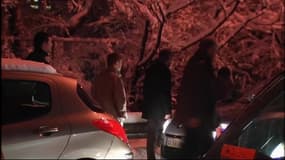 Neige, verglas... sommes-nous vraiment plus mauvais que nos voisins? 