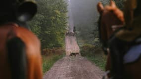 Chasse à courre dans la forêt de Tronçais, le 2 octobre 2022 (illustration). 
