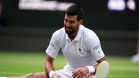 N. Djokovic