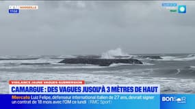 Bouches-du-Rhône: des vagues atteignant 3 mètres de haut en Camargue