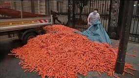 Paquet neutre: les buralistes déversent des carottes devant le siège du PS
