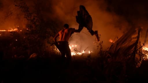 Un homme lutte contre les flammes des incendies à Vigo, en Espagne, le 15 octobre 2017
