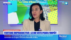 Assemblée nationale : fortune improductive, le RN vote pour l'impôt