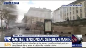Manifestation à Nantes: des violences et des jets de pierre contre la préfecture  