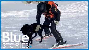 Mohée Roque et son labrador Eko