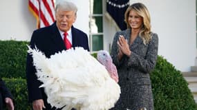 Le président américain Donald Trump et la première dame Melania Trump devant la dinde de Thanksgiving "Maïs", qui a été graciée par Trump dans la roseraie de la Maison Blanche à Washington DC, le 24 novembre 2020.