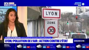 Lyon: l'association Notre affaire à tous revient notamment sur la qualité de l'air de ces dernières années