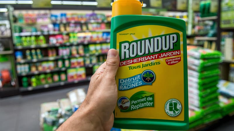 Une bouteille de RoundUp, produit de Monsanto contenant du glyphosate, un herbicide au coeur d'une controverse en Europe, le 15 juin 2015 dans une jardinerie de Lille. 