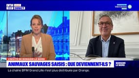 Fin des animaux sauvages dans les cirques: un député du Nord formule des propositions