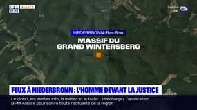 Feu de forêt à Reichshoffen: l'individu interpellé devant la justice ce jeudi 