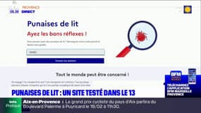 Bouches-du-Rhône: un site contre les punaises de lit testé dans le département