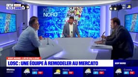 Quel sera le mercato du LOSC?