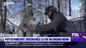 Construire un igloo, chiens de traineau: à la découverte de la vie du grand Nord à Puy-Saint-Vincent