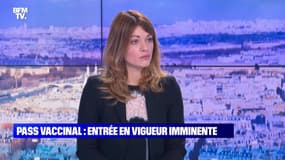 Pass vaccinal : une mesure liberticide ? - 16/01