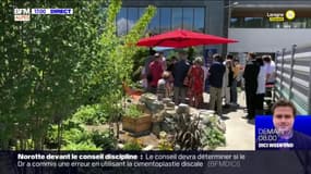 Gap: un nouveau jardin thérapeutique a été inauguré par l'hôpital 