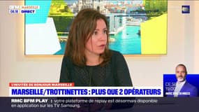 Marseille: l'adjointe à la mairie aux mobilités demande une fermeture du métro plus tardive
