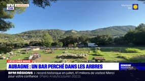 L'été chez nous: un bar perché dans les arbres à Aubagne