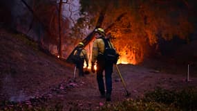 Les pompiers s'efforcent d'éteindre les flammes dans le quartier de Mandeville Canyon à Los Angeles, en Californie, le 11 janvier 2025, alors que l'incendie des Palisades continue de brûler.