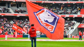 Le logo du LOSC
