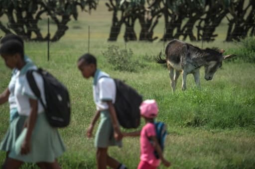 Des enfants passent devant un âne à Mogosani, une petite bourgade de la province sud-africaine du Nord-Ouest, le 9 février 2017