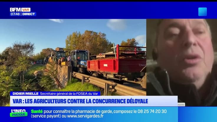 Var : les agriculteurs contre la concurrence déloyale