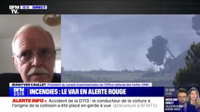 Incendies: "Il faut appeler [les secours] tout de suite, à la première fumée", conseille ean-Yves Caullet (ONF)