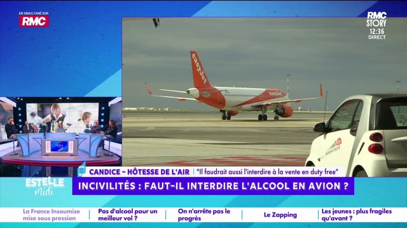 Interdire l'alcool dans l'avion : "On a une procédure qui nous a été enseignée par le GIGN", explique Candice