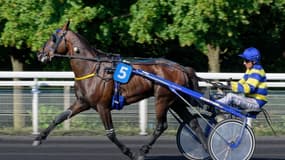 Hokkaido Jiel sera l'un des favoris du Prix de Bretagne