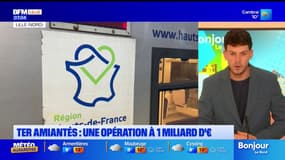 Hauts-de-France: il faudrait à la région un milliard d'euros pour remplacer une quarantaine de TER amiantés