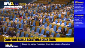 Gaza: l'Assemblée générale de l'ONU adopte une résolution pour un futur État palestinien excluant le Hamas