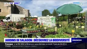Mane: franc succès pour la 18ème édition de "Rendez-vous aux jardins"