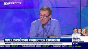 Vin: les coûts de production explosent, une entreprise viticole sur trois menacée - 25/11