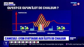 Canicule : Lyon s'attaque aux îlots de chaleur