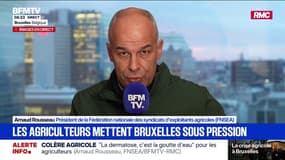 Blocages agricoles: "C'est au gouvernement et à Bruxelles d'apporter les réponses", déclare Arnaud Rousseau, président de la FNSEA
