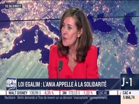 Loi Égalim: l'Ania appelle à la solidarité - 06/11