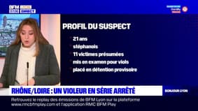 Un jeune homme, soupçonné d'une série de viols dans la Loire et le Rhône, interpellé