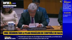 Contrôle de Gaza par Israël : l’ONU craint "une nouvelle calamité" dans la région