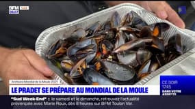 Le Pradet: le mondial de la moule de retour