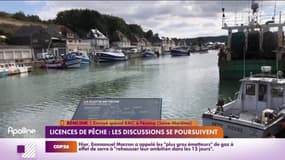 L'affaire des licences de pêche vue depuis la côte normande