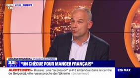 Pour Arnaud Rousseau (FNSEA), "trois quarts des nouveaux agriculteurs seront non issus du milieu agricole" à l'issue des dix prochaines années
